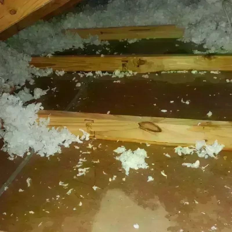 Attic Water Damage in Essexville, MI