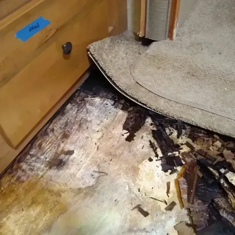 Best Wood Floor Water Damage Service in Essexville, MI